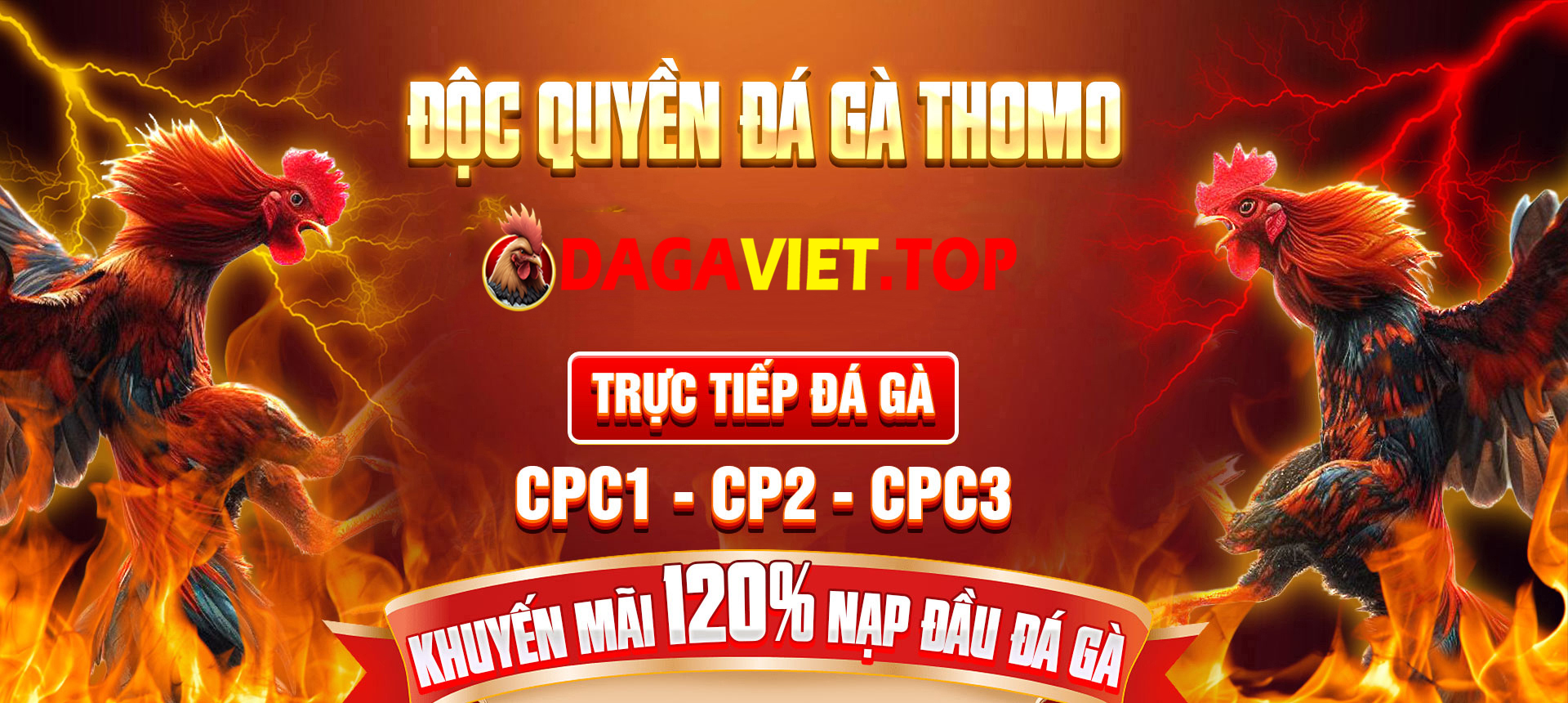 banner dagaviet